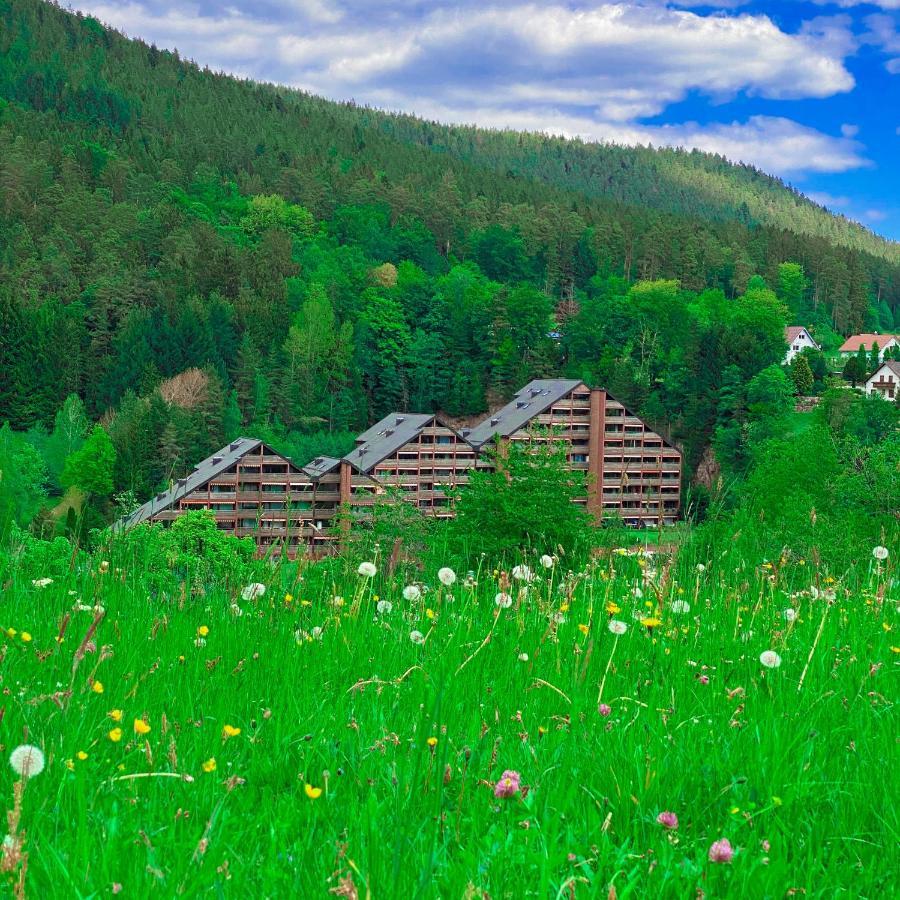 Ferienwohnung Guenter Im Tonbachtal Baiersbronn Eksteriør billede